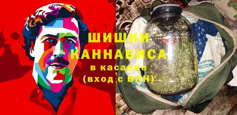 Бошки марихуана сатива  Сыктывкар 